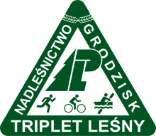 III TRIPLET LEŚNY